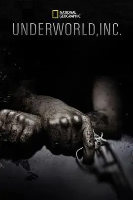 深入《黑市大企业》第一季：揭秘不为人知的地下经济，真实又残酷的财富游戏！