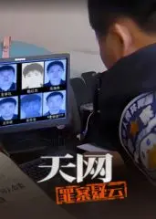 《天网：罪案疑云》深度解析：迷雾重重，抽丝剥茧，真相终将浮出水面！